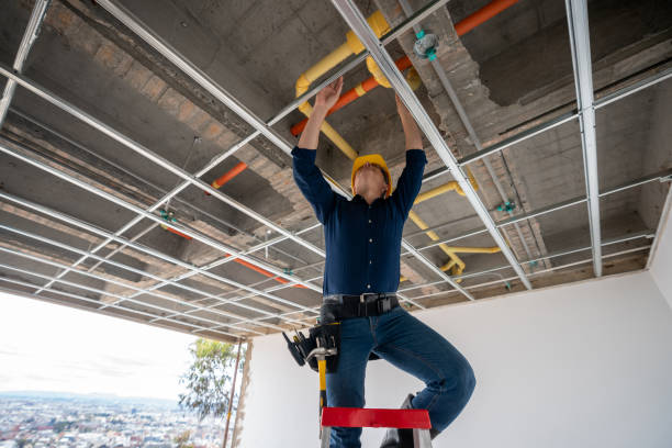 Best Local Plumber Services  in Arlington Heights, WA